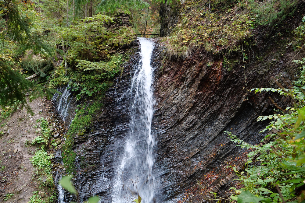 Best Drives around the Gold Coast - Gold Coast